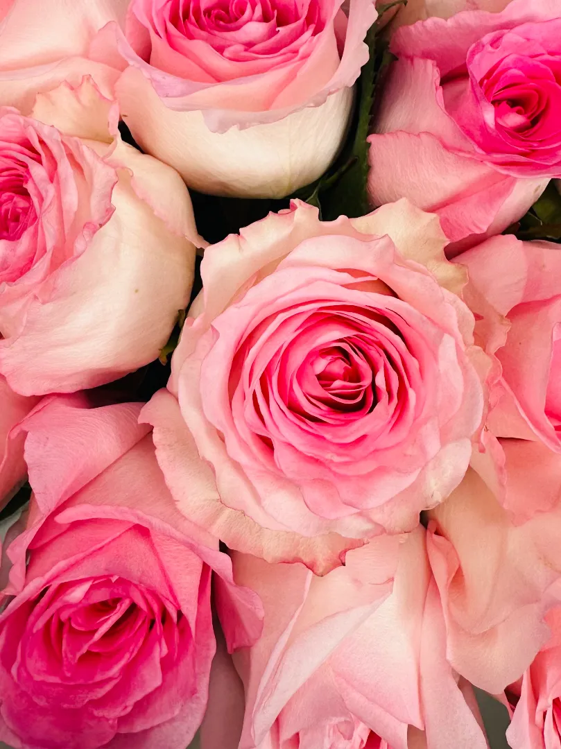 Букет: &laquo;Нежно-Розовая Роза&raquo;