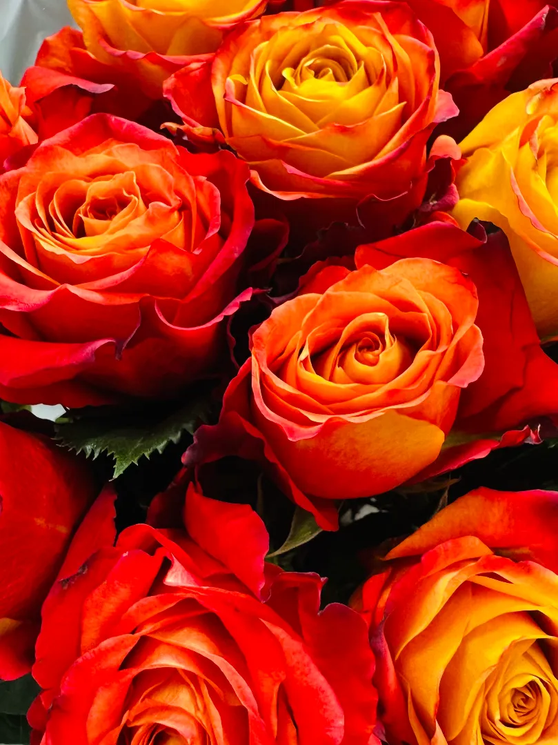 Букет: &laquo;Роза Атомик&raquo;