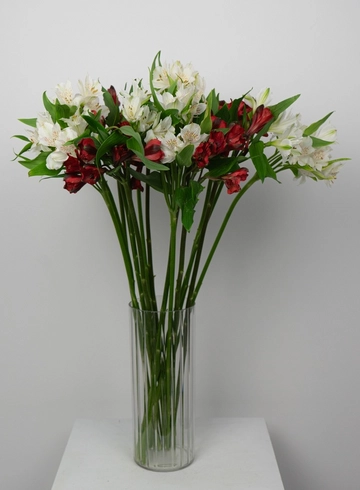 Букет макси: &laquo;Красно-белая Альстромерия&raquo;  от интернет-магазина цветов в 