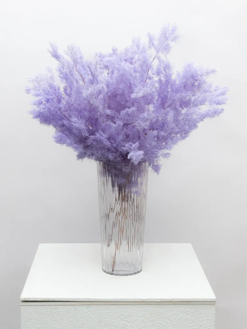 Стабилизированный Аспарагус