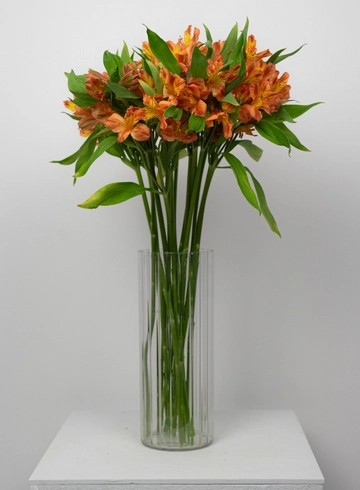 Букет медиум: &laquo;Оранжевая Альстромерия&raquo; от интернет-магазина цветов в 