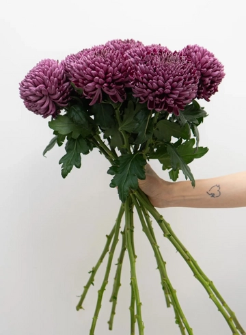 Букет: «Бигуди»  от интернет-магазина цветов в 