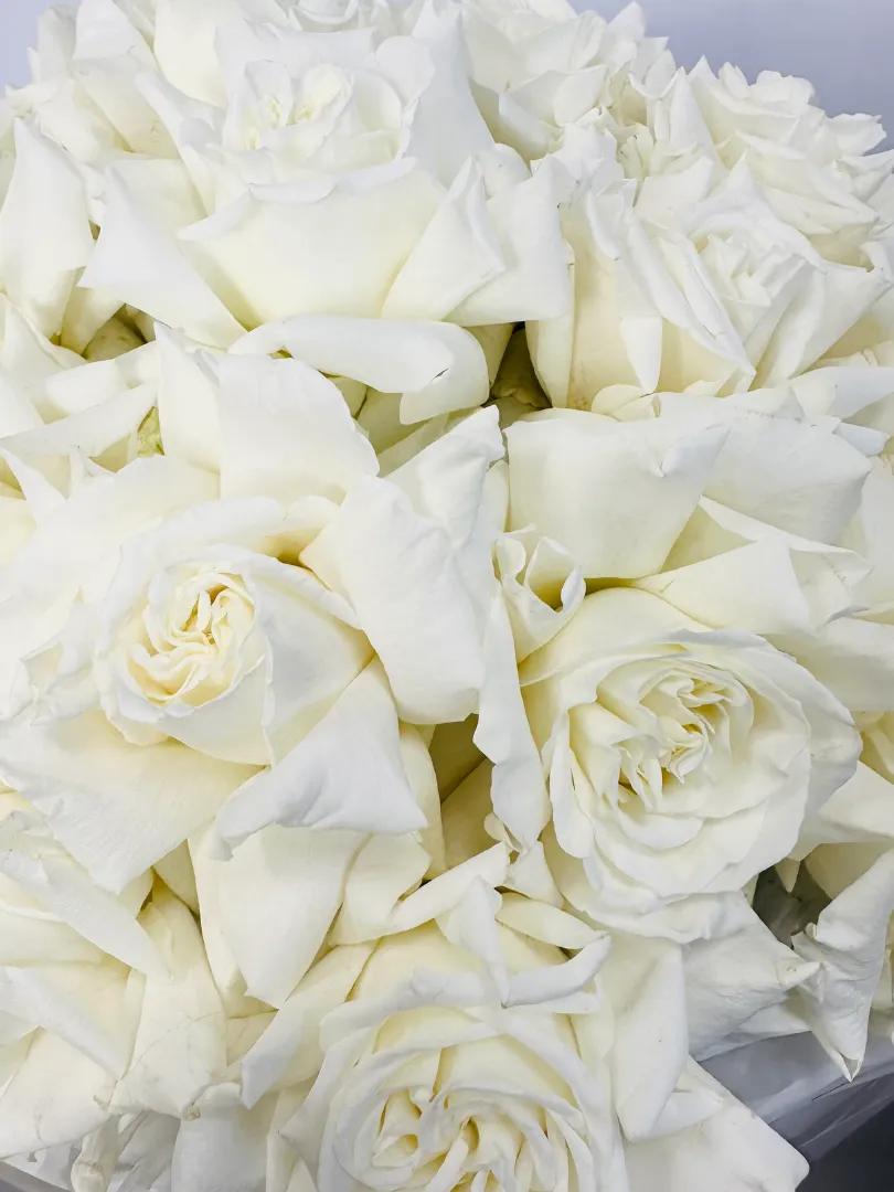 Букет: &laquo;Винтажная роза 7&raquo;