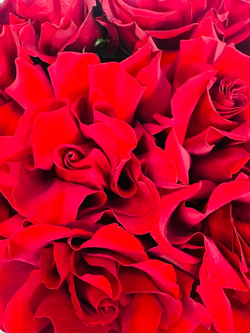 Букет: &laquo;Ажурный соблазн 15&raquo;