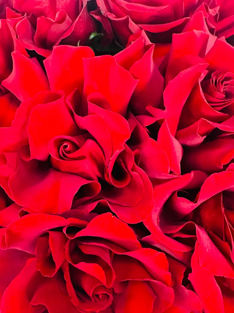 Букет: &laquo;Ажурный соблазн 7&raquo;