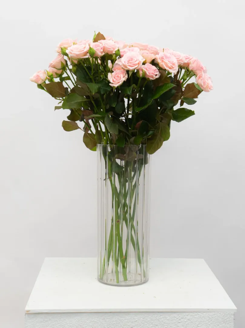 Кустовая Роза &laquo;Нежно-Розовая&raquo;