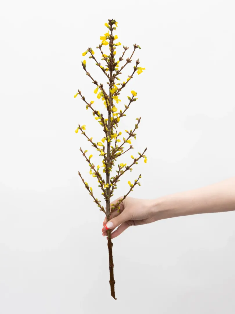 Цветок штучно