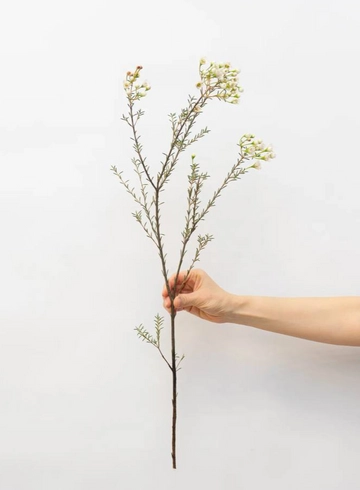 Ваксфлауэр