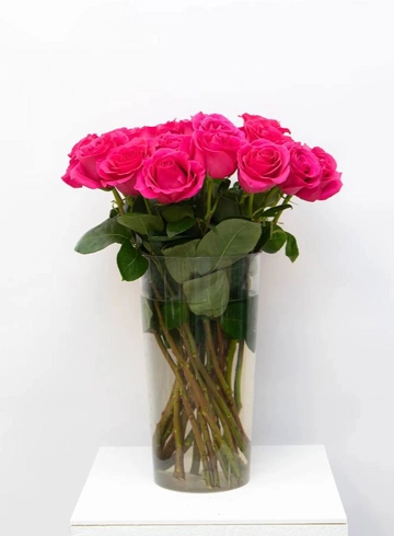 Роза Эквадор 70см от интернет-магазина цветов в 