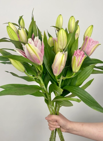 Букет: &laquo;Розовая Лили&raquo; от интернет-магазина цветов в 