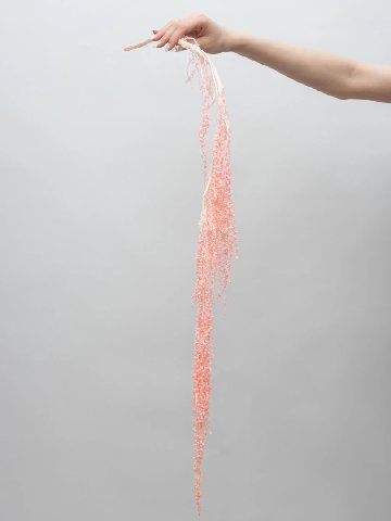 Амарант Розовый от интернет-магазина цветов в 