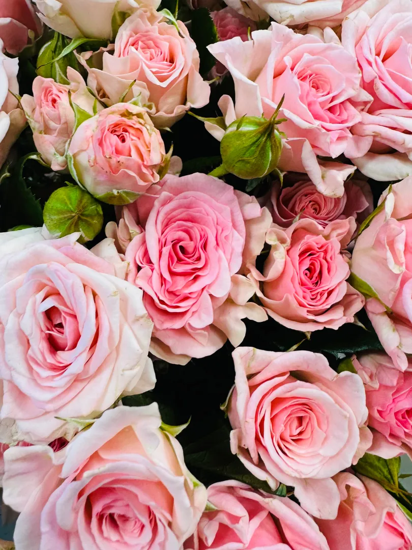 Букет: &laquo;Розовая Кустовая Роза&raquo;