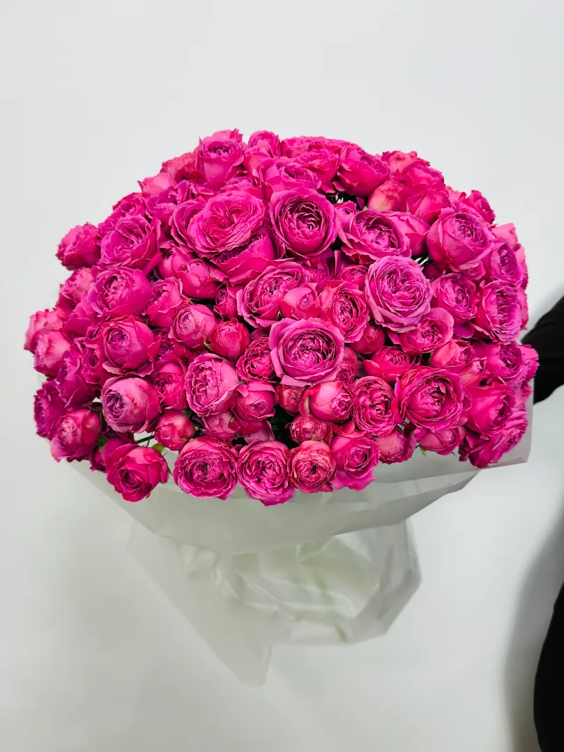 Букет из 51 Кустовой Пионовидной Розы &laquo;Бабл&raquo;