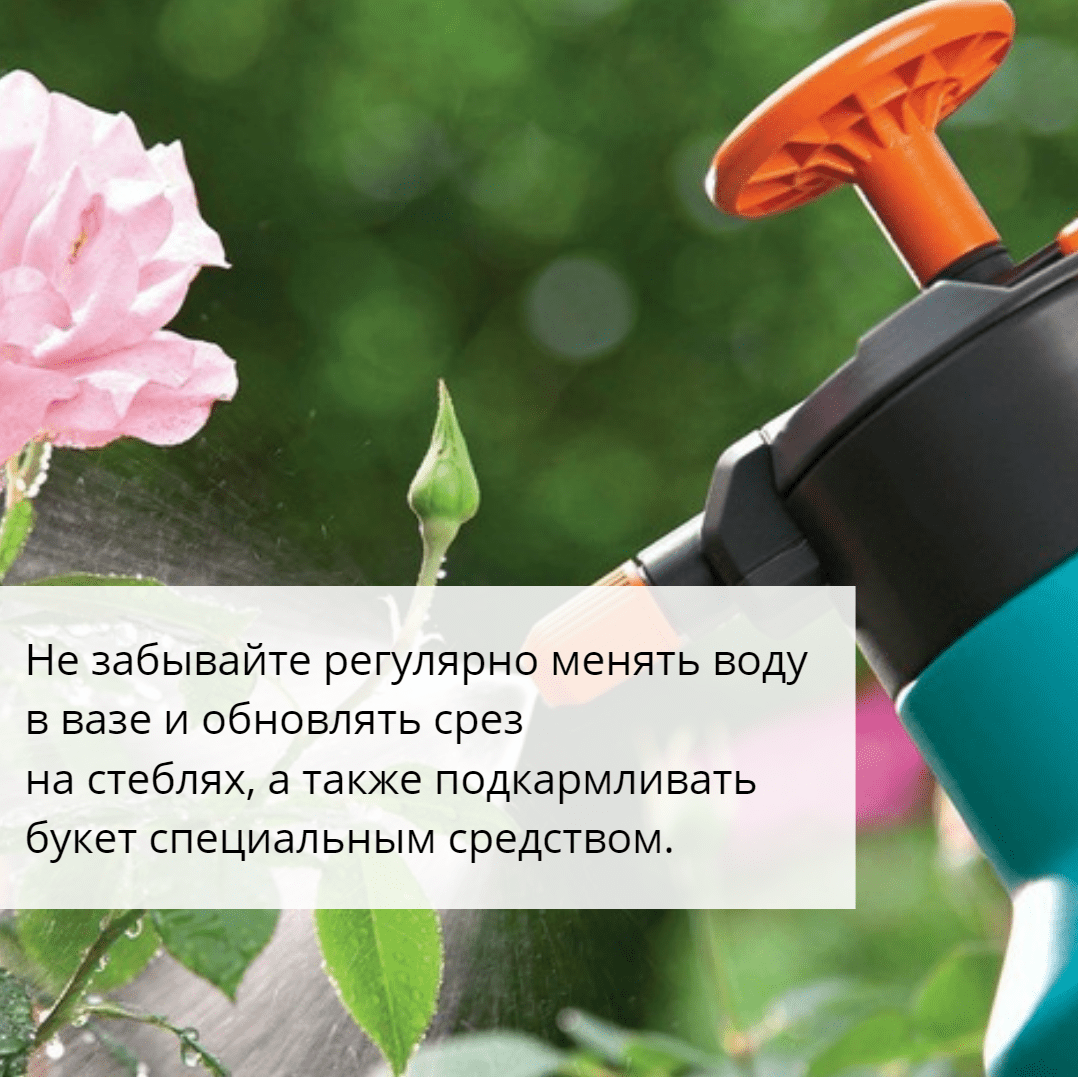 Поставьте букет в прохладное место подальше от источников тепла. Защитите цветы от попадания прямых солнечных лучей.
